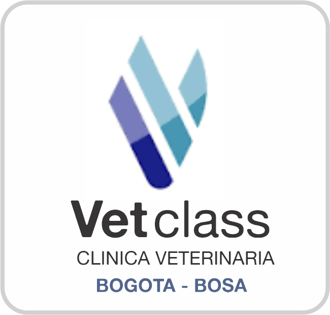 Botón